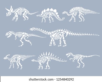 Set of dinosaurs fossils skeletons. Vector illustration