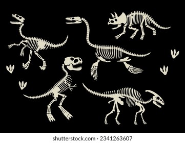Set of Dinosaurs Skeleton Fossil Collection