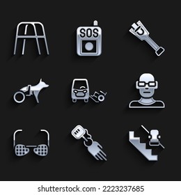 Set Disabled Car, Prosthesis Hand, Elevator, Poor Eyesight, Blind Glasses, Dog Wheelchair, Leg And Walker Icon. Vector