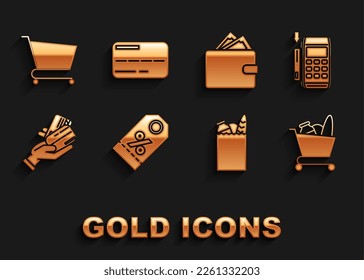 Set Discount percent tag, Pos terminal with inserted credit card, Shopping cart and food, Paper shopping bag, Human hand holding, Wallet stacks paper money cash,  and Credit icon. Vector