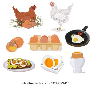 A set of dishes from chicken eggs, chicken, boiled and fried eggs, eggs in a package, sandwich, Natural, farm products.   Vector illustration.