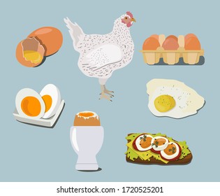 A set of dishes from chicken eggs, chicken, egg, boiled and fried, eggs in a package, natural products.   Vector illustration.