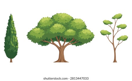 Set of diverse deciduous and coniferous trees with woodland, collection