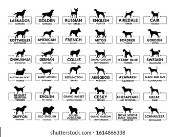 Set of diverse dog icons 