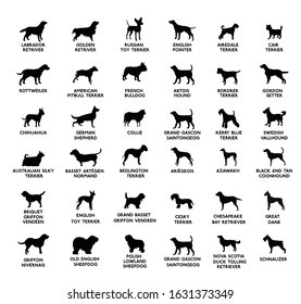 Set of diverse dog icons 