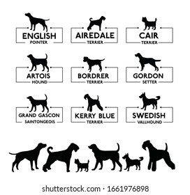 Set of diverse dog icons