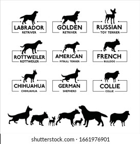 Set of diverse dog icons