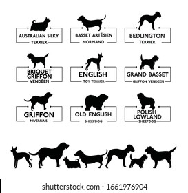 Set of diverse dog icons