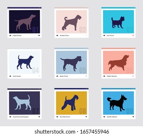 Set of diverse dog icons
Labrador Retriever, Golden retriever, Russian toy terrier, Rottweiler, American pit bull terrier, French bulldog, Chihuahua, German shepherd,
Collie.