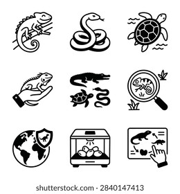A set of diverse icons representing various reptiles and amphibians, including a chameleon, snake, turtle, iguana, and alligator, along with related concepts like conservation and incubation.