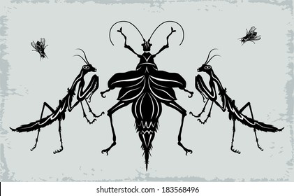 Set of diverse insects: mantises, beetle and fly.