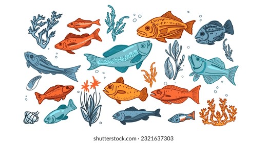 Set of diverse marine and ocean underwater animals, shells, algae, aquatic animals in doodle and flat cartoon style, colored flat vector illustration isolated on white background