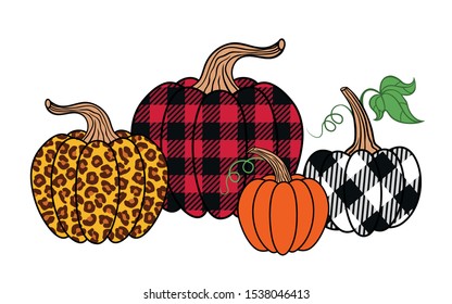 
 Set of diverse pumpkins. Leopard, orange and buffalo plaid pumpkin.
Happy Thanksgiving . Harvest season. Vector illustration. Clip Art.