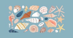 Set Of Diverse Sea Shell, Aquatic Life Animals In Flat Cartoon Style. Isolated Marine Seashell, Star Fish And More Exotic Wildlife. Summer Vacation Collection, Tropical Beach Shells.