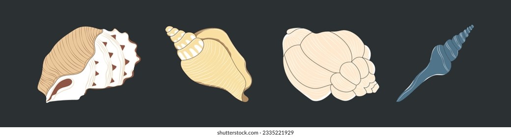 Set of diverse sea shell, aquatic life animals in flat cartoon style. Isolated marine seashell, star fish and more exotic wildlife. Summer vacation collection, tropical beach shells.