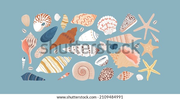 Set of\
diverse sea shell, aquatic life animals in flat cartoon style.\
Isolated marine seashell, star fish and more exotic wildlife.\
Summer vacation collection, tropical beach\
shells.