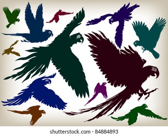 Set of diverse silhouettes of flying birds of parrots.