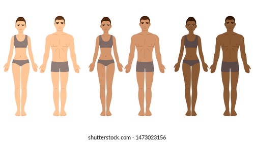 Set of diverse skin tone men and women body templates. People in underwear with different complexions. Ethnicity vector clip art for medical infographics and fashion illustration.