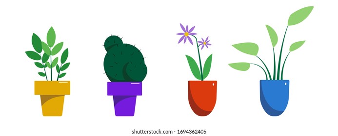 Set of diverse stylized colored indoor plants in pots.