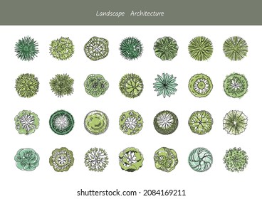 A set of diverse tree species from above for park plans and infographics. Landscape Architecture. Vector illustration