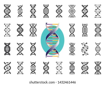 Set of DNA icons. Human genetic variation. Vector illustration. 