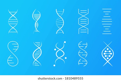 Set of DNA icons showing different forms of the helical molecule for medical and genetic themes, colored vector illustration