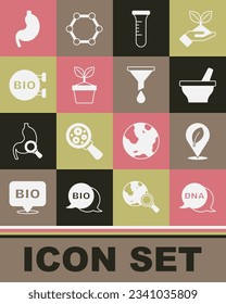 Fijar el símbolo de ADN, Lugar con hoja, Mortero y almirez, Matraz de tubo de ensayo, Planta en olla, Comida saludable Bio, Goma Humano e Icono de filtro de embudo. Vector