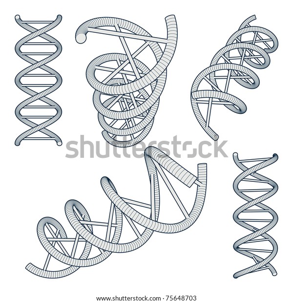 Set Dna Symbols On White Background Stock Vector Royalty Free 75648703