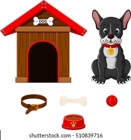 set of dog accessories