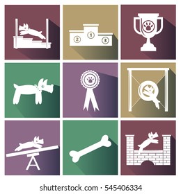 Set of dog agility competition icons. Funny dog with different agility equipment, Winner podium, winner cup and ribbon.