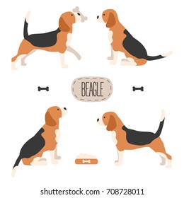 Set of dog beagle. Vector illustration