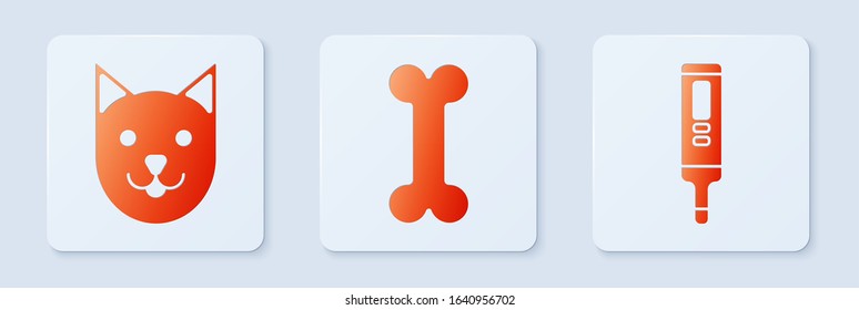 Set Dog bone, Cat and Medical digital thermometer. White square button. Vector