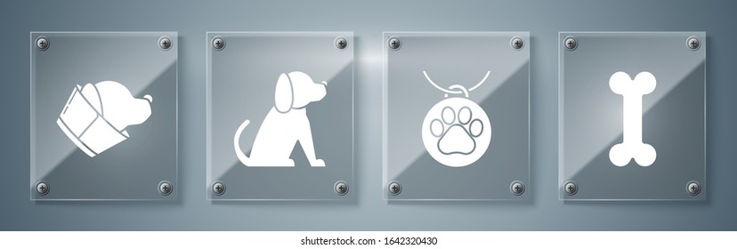 Set Dog bone, Collar with name tag, Dog and Veterinary clinic symbol. Square glass panels. Vector