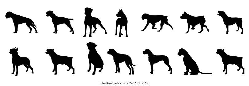 Set of dog boxer vector 
