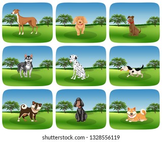 Set of dog breed in nature illustration