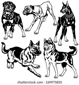 set with dog breeds, black and white illustration 