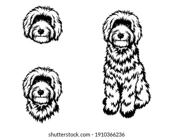 Set of dog breeds Goldendoodle. Collection of portraits fluffy Goldendoodle dogs. Black and white of illustration a cute pets. Tattoo Groodle.