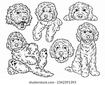 Set of dog breeds Goldendoodle. Collection of portraits fluffy Goldendoodle dogs. Black and white of illustration a cute pets. Tattoo Groodle.