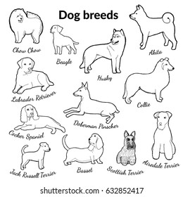 Set of dog breeds. Hand drawn vector illustrations