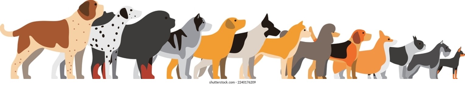 set of dog breeds standing in a line, side view vector illustration
