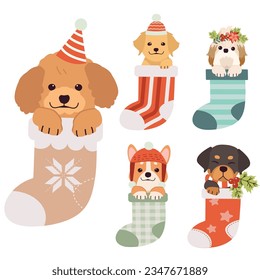 A set of dog cartoon illustration in Christmas socks with Christmas and winter party element.