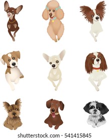 Set of Dog Cartoon Isolated Illustrations.EPS10