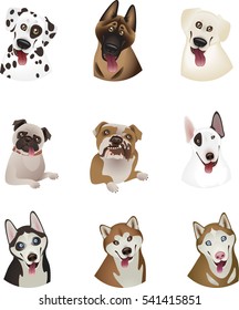 Set of Dog Cartoon Isolated Illustrations.EPS10