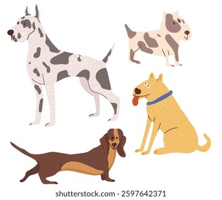 Set of dog characters, domestic and street, hand drawn vector illustration.