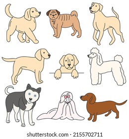 Set dog colored doodle style. Collection pets vector illustration. Labrador, husky, lap dog, dachshund cables and bitches
