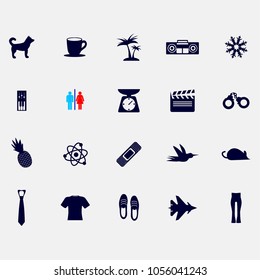 set of dog, cup, palm, snow, piano, toilet, scale, arrest, pineapple, science, bird, mouse, tie, shirt, sneakers, plane icons set vector illustration