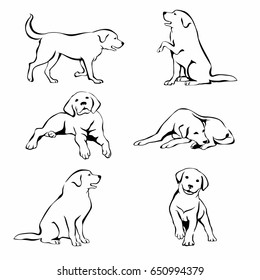 Set Of Dog Drawing