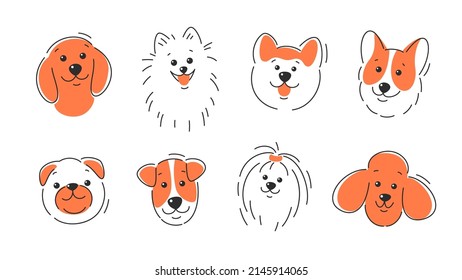 Set of dog faces of different breeds. Corgi, Akita, spitz , Dachshund, Poodle, Terrier, Pug. Vector illustration on white background