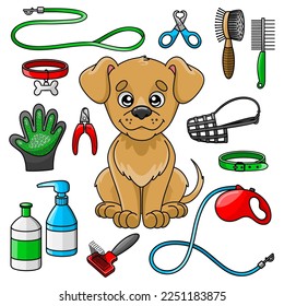 Set of dog goods for pet shop. Accessories for grooming and dog walking. Collars, leashes and other supplies for puppy. Colorful vector isolated illustrations in cartoon style.