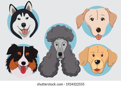 Set of Dog Head, Siberian Husky, Labrador, Poodle Standard, Australian Shepherd, Golden Retriever, Vector Illustration